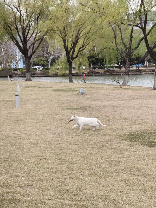 via 时月via 时月