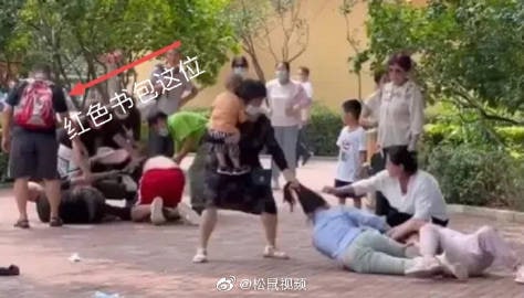 #人类高质量劝架  没想到北京野生动物园两对家庭打架事件还有后续那位劝架的好心人是华北科技学院应急技术与管理学院的副教授#人类高质量劝架  没想到北京野生动物园两对家庭打架事件还有后续那位劝架的好心人是华北科技学院应急技术与管理学院的副教授
