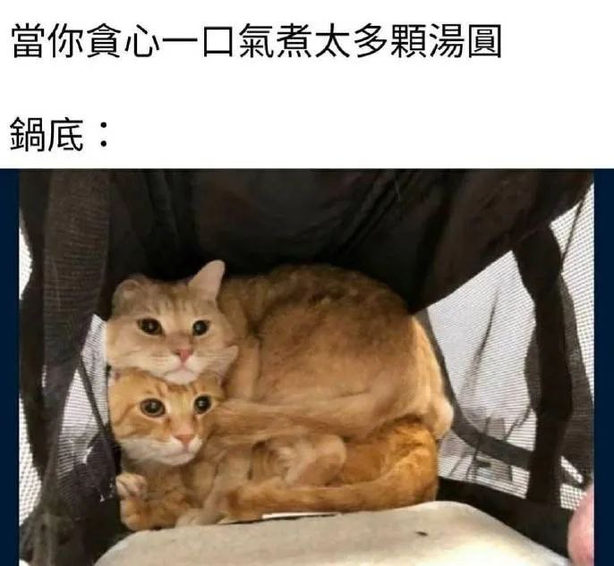 via 蒼瀾熙