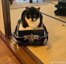 问儿子你咋不做作业？结果儿子无言地指着书包
