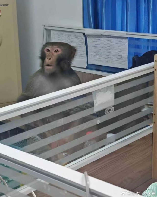 国庆加班吗喽🐒国庆加班吗喽🐒