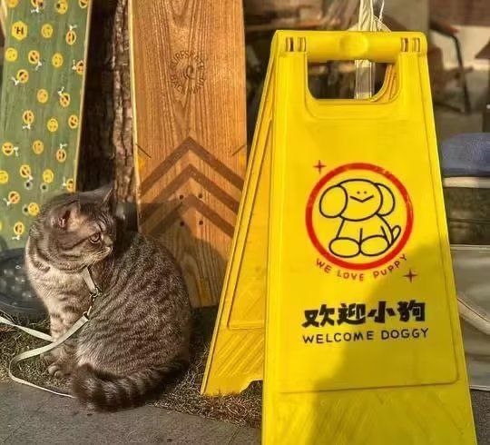 via 蒼瀾熙