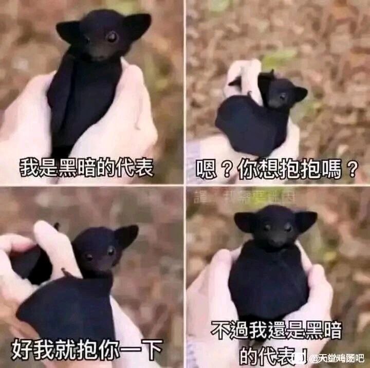 via 犯罪嫌疑人张某
