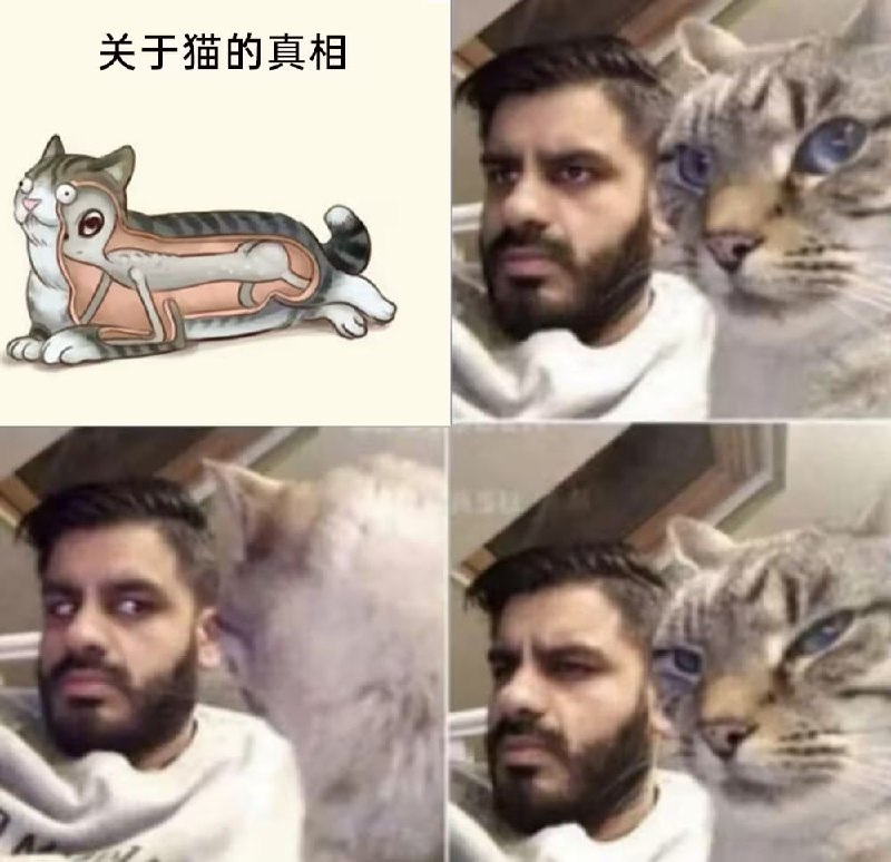 via 6号沙雕网友