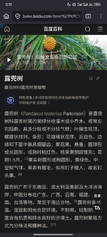 什么神人翻译把露兜树翻译成蒲公英，害我寻思一下午蒲公英种子到底怎么吃什么神人翻译把露兜树翻译成蒲公英，害我寻思一下午蒲公英种子到底怎么吃