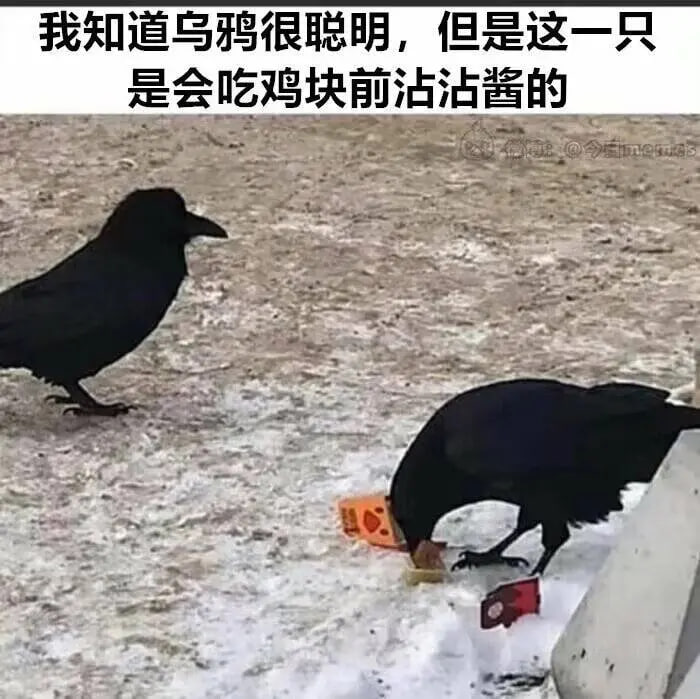via 7号沙雕网友