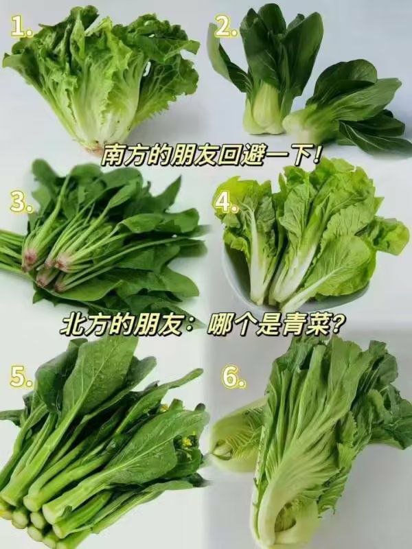 青菜！全都是青菜！青菜！全都是青菜！