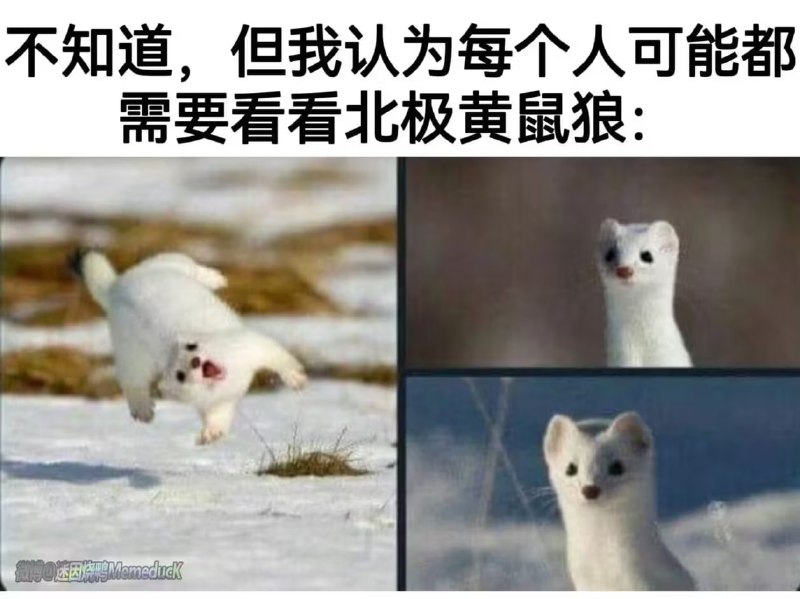 via 6号沙雕网友