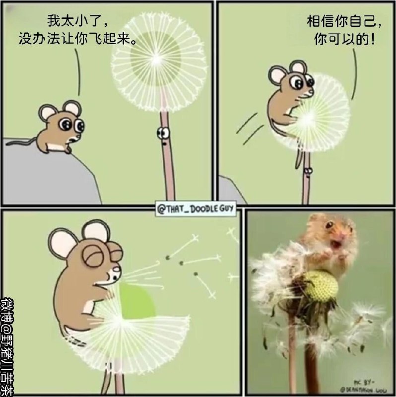 via my nbkls