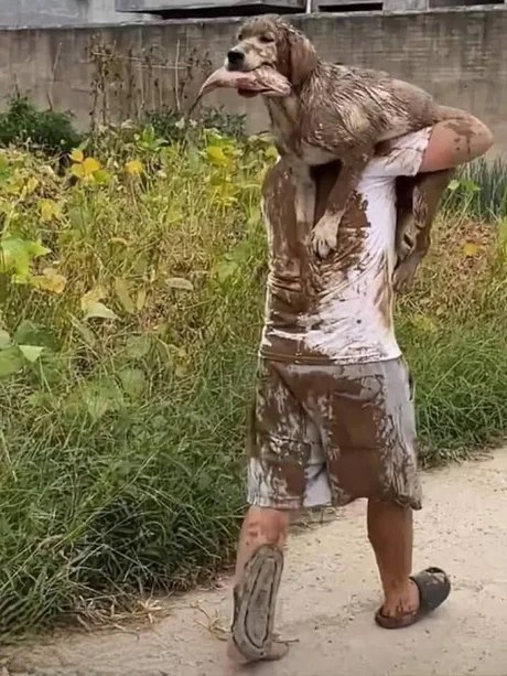 from 煎蛋无聊图