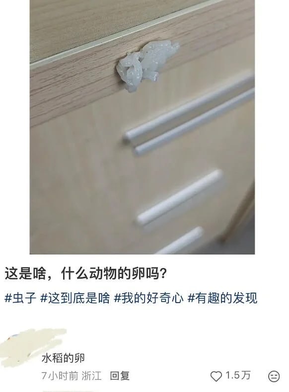 via 8号沙雕网友