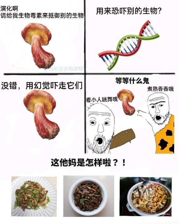 标题五个字还有这个类型的meme图吗？乐死我了标题五个字还有这个类型的meme图吗？乐死我了