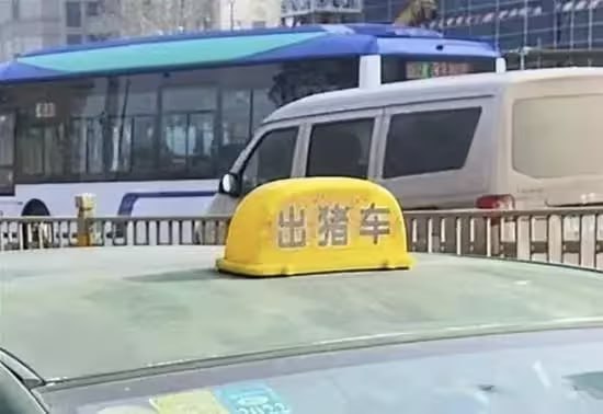 via 7号沙雕网友