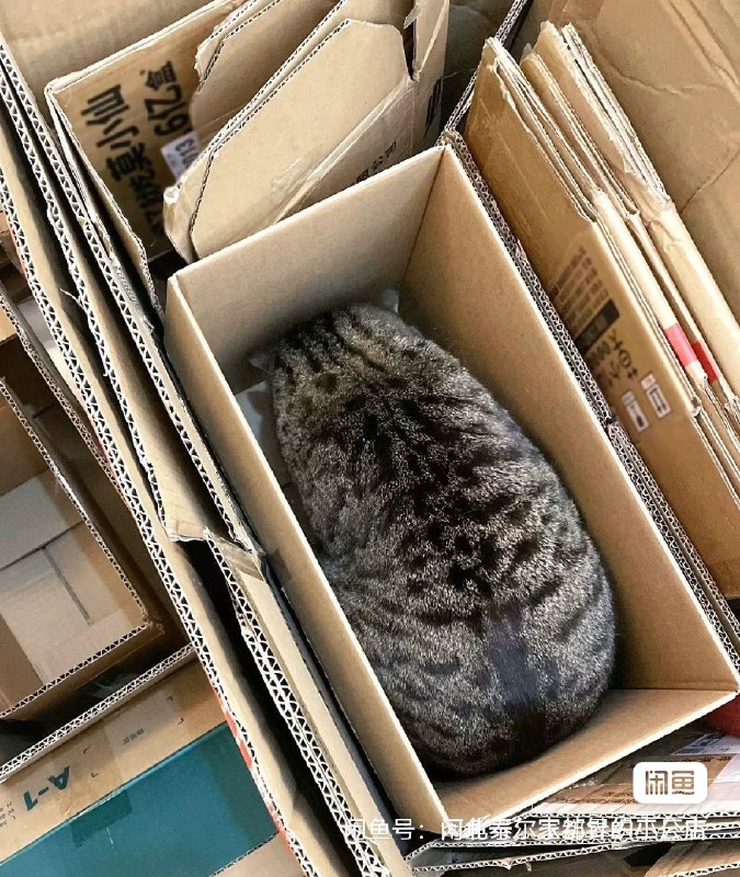 收废品大爷非说我纸壳子重量不对