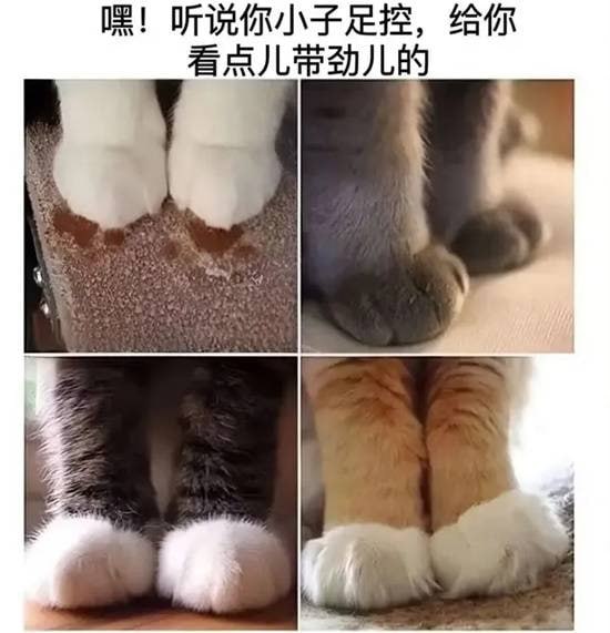 via 7号沙雕网友