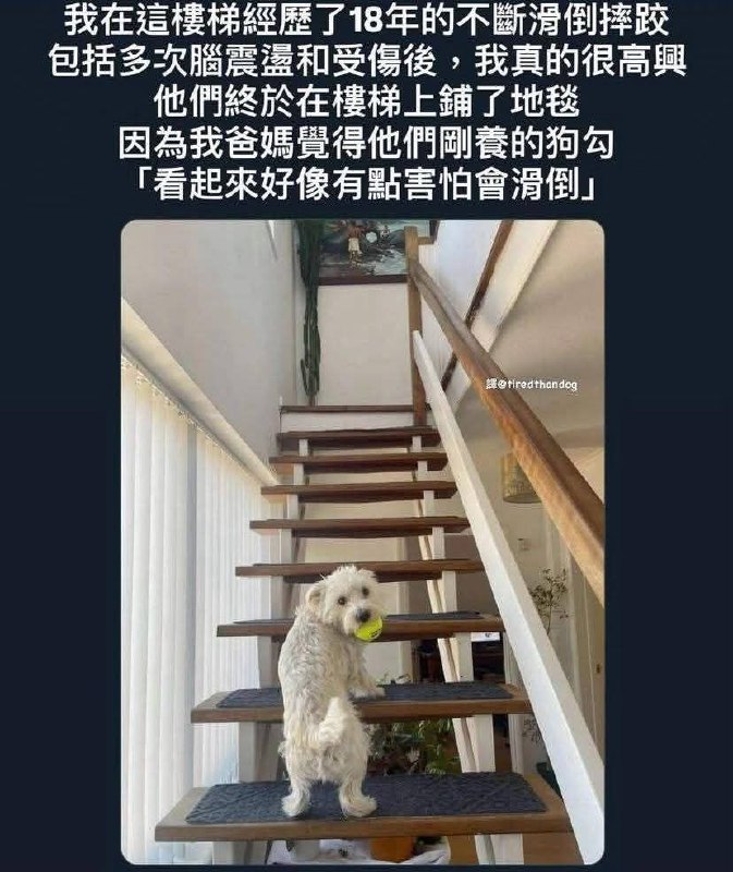 from 什麼都來點 via DECADE