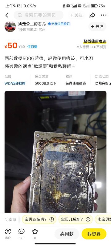 #二手鱼奇谭 西数烂盘via efsg