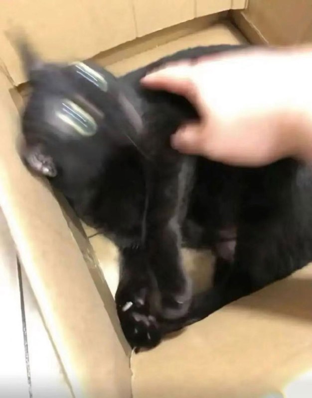 via 8号沙雕网友via 8号沙雕网友