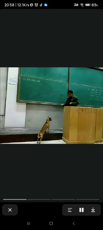 via Hibichannvia Hibichann
