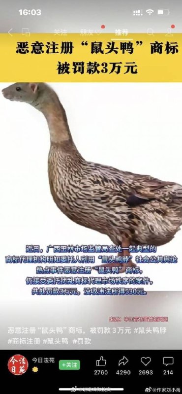 两张图片无关联via 兔子是美丽怪物的心脏@冰爱会两张图片无关联via 兔子是美丽怪物的心脏@冰爱会