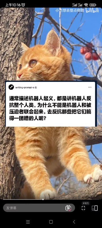 by xfrom 🔮 奇闻异录 与 沙雕时刻 meme collection
