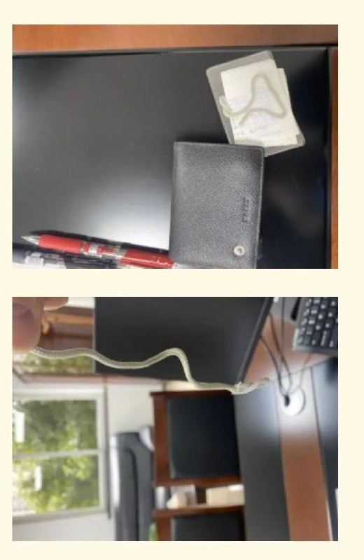 你這樣騙狗進來殺是犯法的你知道嗎~#文字寫作版from UMD(兔鼠)的謎島觀察日記(NSFW)你這樣騙狗進來殺是犯法的你知道嗎~#文字寫作版from UMD(兔鼠)的謎島觀察日記(NSFW)