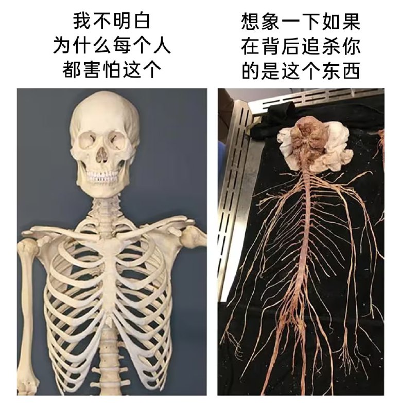 via 6号沙雕网友