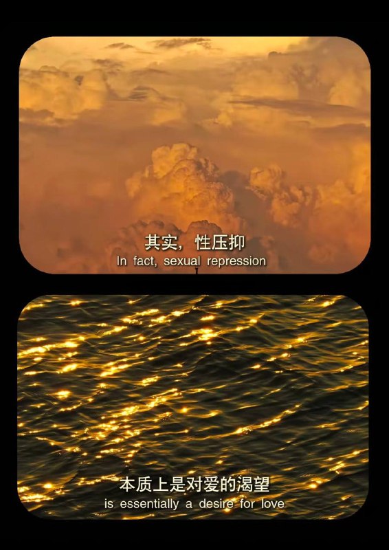 via 犯罪嫌疑人张某