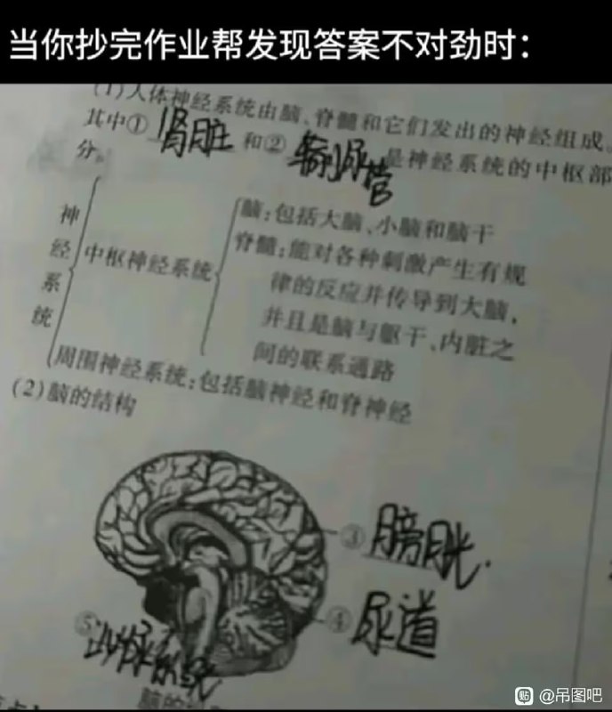 via 6号沙雕网友