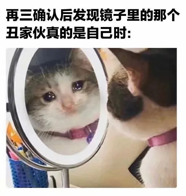 每日破防via Δ•᷄ࡇ•᷅ 大屁屁 🅥 ᯤ⅘ᴳ每日破防via Δ•᷄ࡇ•᷅ 大屁屁 🅥 ᯤ⅘ᴳ