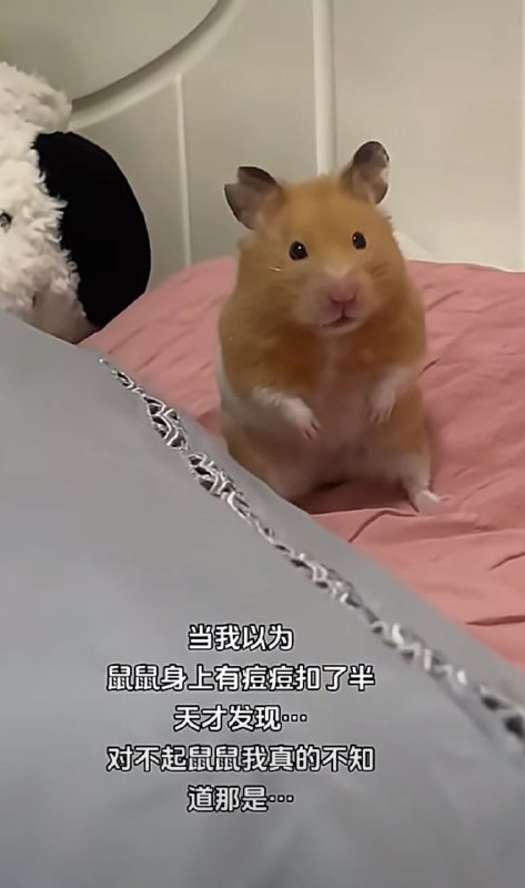 搞搞小揪揪🥰via my nbkls