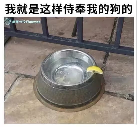 via 6号沙雕网友