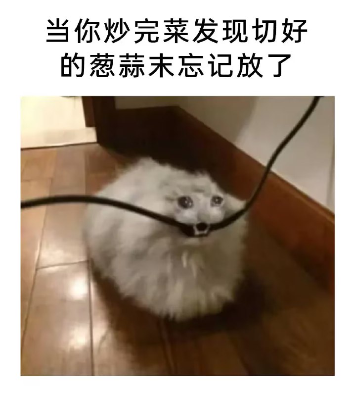 via 7号沙雕网友