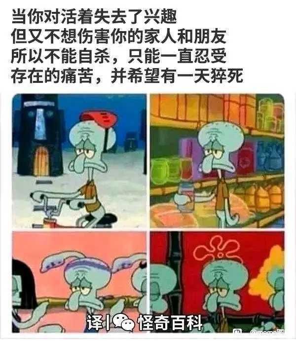 via 8号沙雕网友