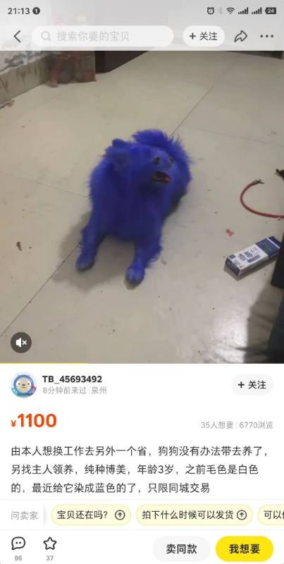 ？from 平壤卫视