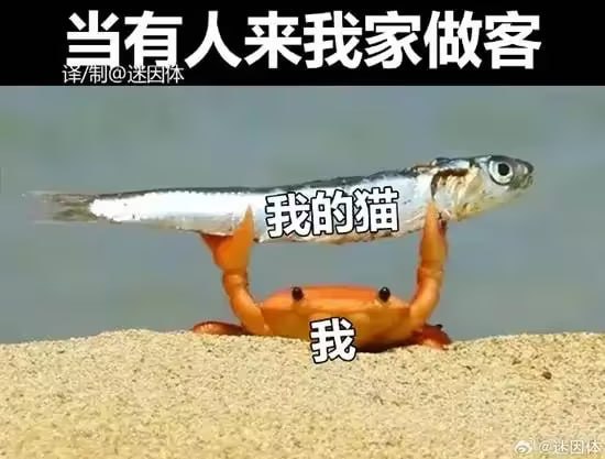 via 6号沙雕网友