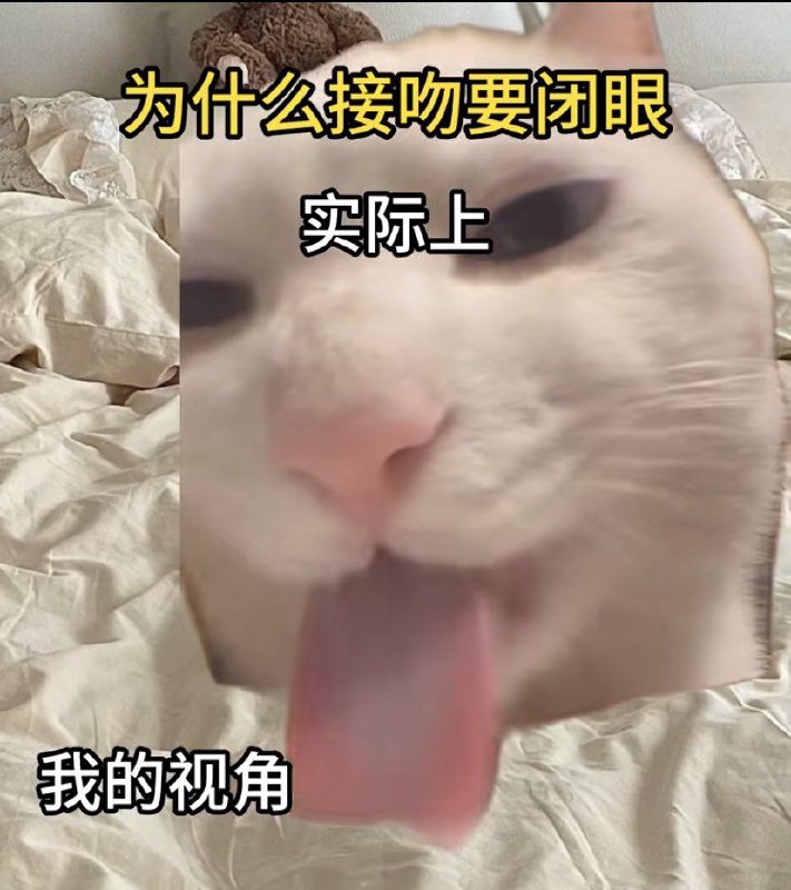 via 喵via 喵