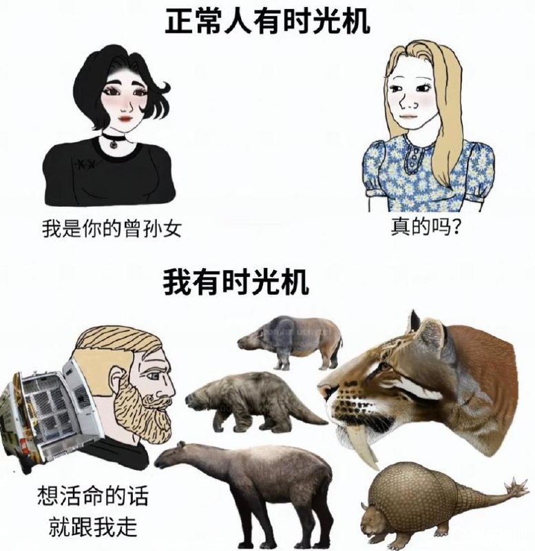 via 飞天 小松鼠