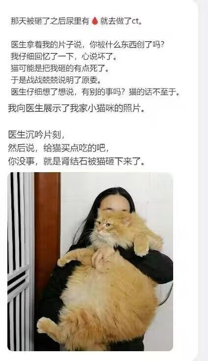via 哈次捏米库
