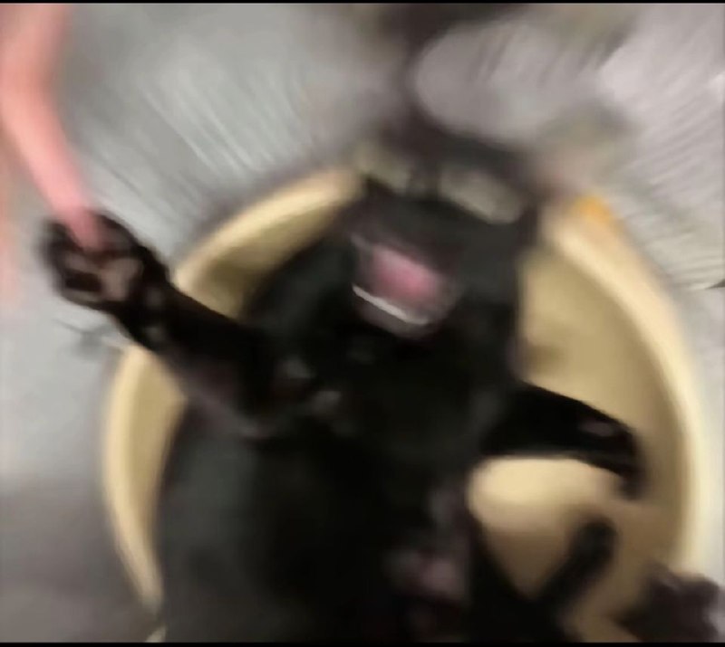 via 8号沙雕网友via 8号沙雕网友