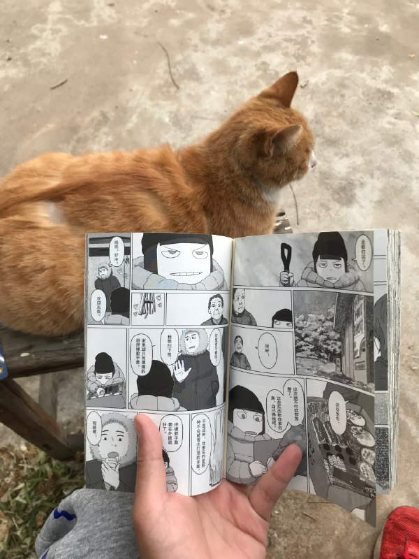 猫为什么不喜欢看漫画？via ⁣ ⁡