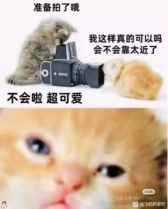 via 犯罪嫌疑人张某