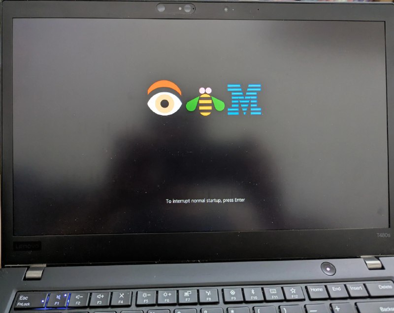 👁️ 🐝 m