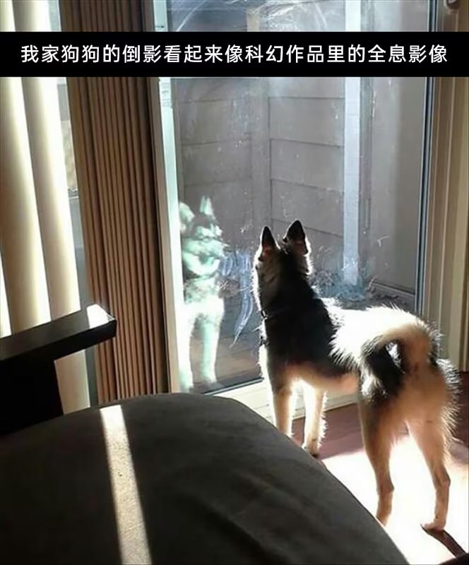 via 6号沙雕网友