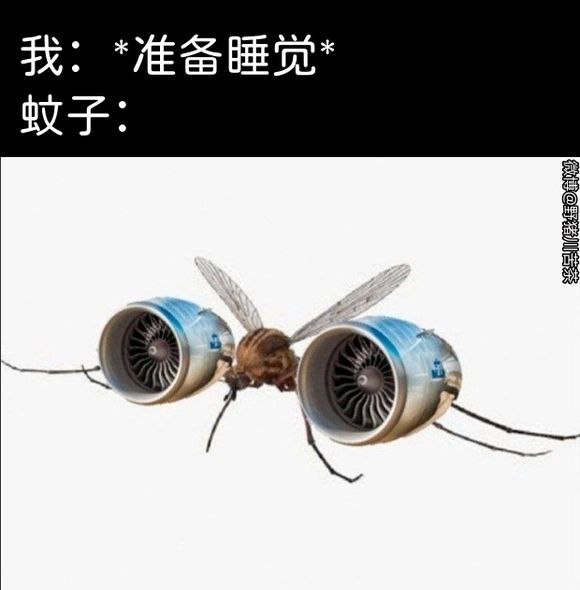 via 7号沙雕网友
