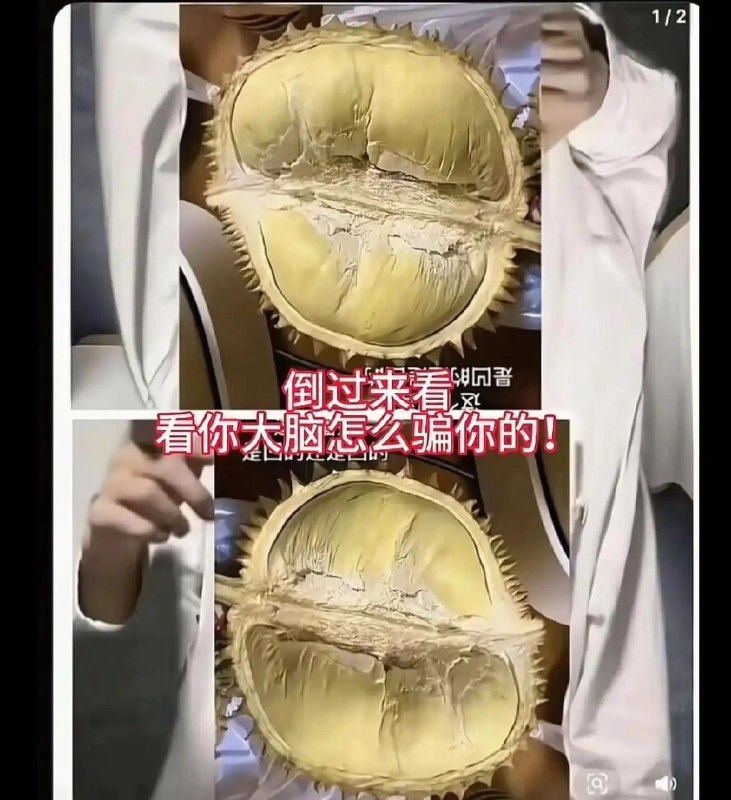 via 小金毛🐶
