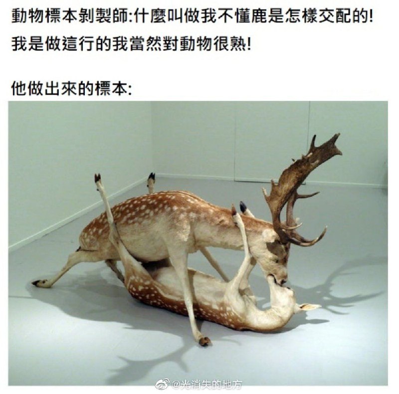 from 白from 白