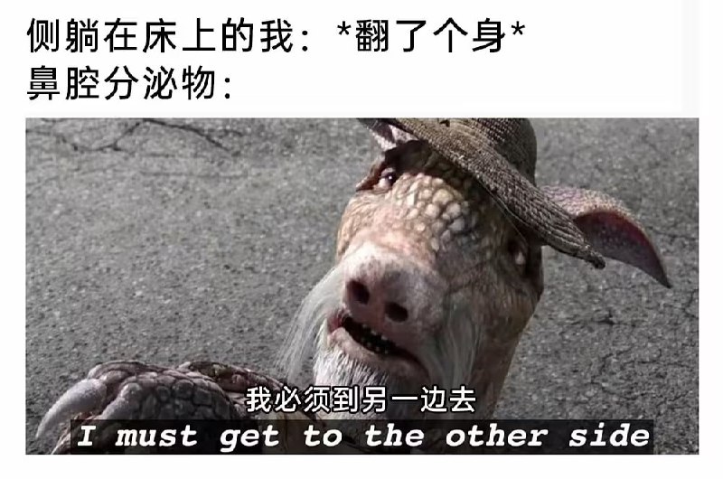 via 6号沙雕网友