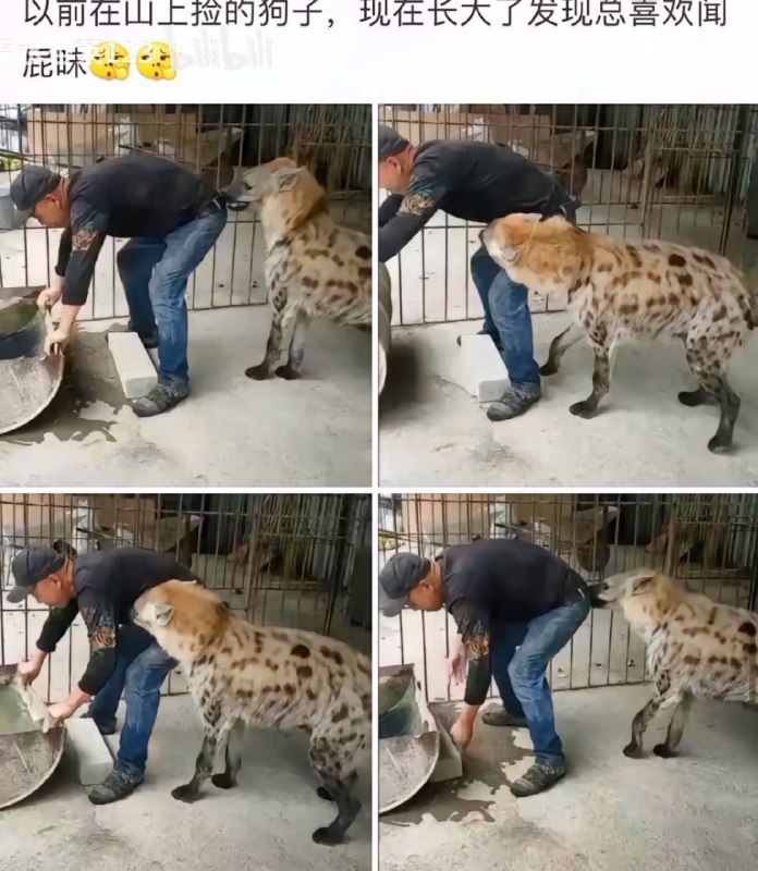 via 犯罪嫌疑人张某