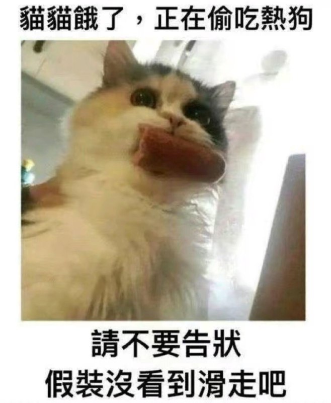 via 喵